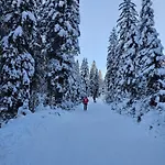 Panoramablick Exklusiv Apartamento Villach