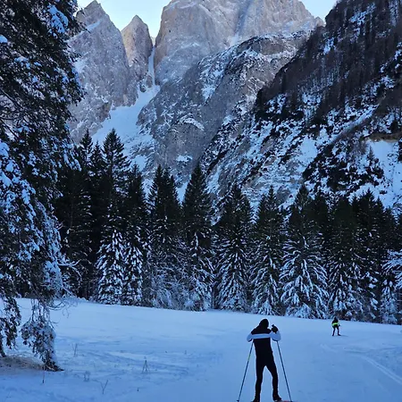 Panoramablick Exklusiv *