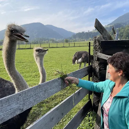 Panoramablick Exklusiv Appartement Villach