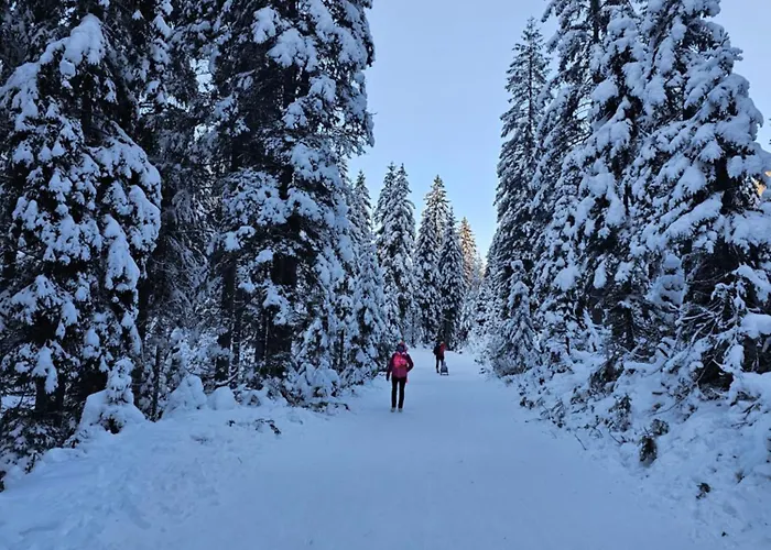 Panoramablick Exklusiv Апартаменты Филлах