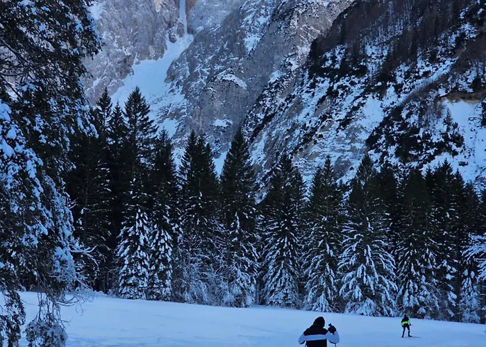Panoramablick Exklusiv *