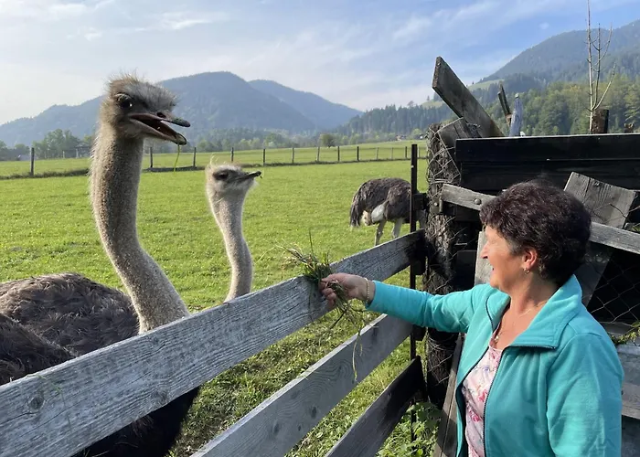 Panoramablick Exklusiv Appartement Villach